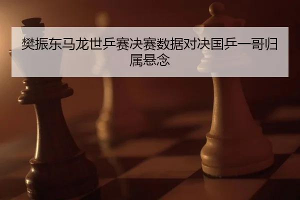樊振东马龙世乒赛决赛数据对决国乒一哥归属悬念